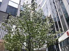 -杯欢制茶(三里屯店)