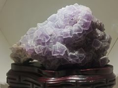 -安徽省地质博物馆