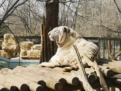 -北京野生动物园