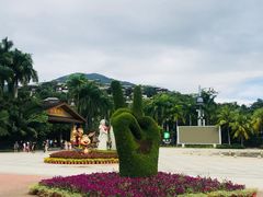 -呀诺达热带雨林