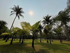 -中国科学院西双版纳热带植物园