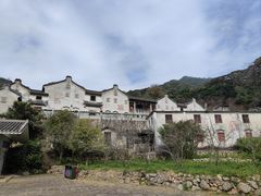 -雁南飞茶田景区