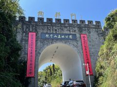 -宜兴龙背山森林公园