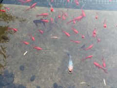 -苏州文旅花间堂·探花府酒店