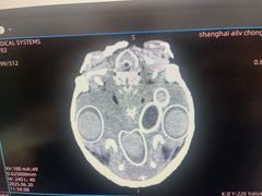 -爱侣宠医·鹦鹉专科·小型哺乳类·异宠专科(灵石路店)