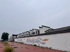 -泗洪洪泽湖湿地景区