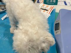 -美迦爱-牙专科·兔科·骨科诊疗中心(北苑店)