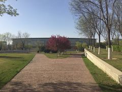 -北京国家会计学院