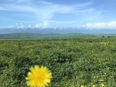 -新疆那拉提国家旅游度假区