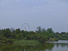 -日照海滨国家森林公园