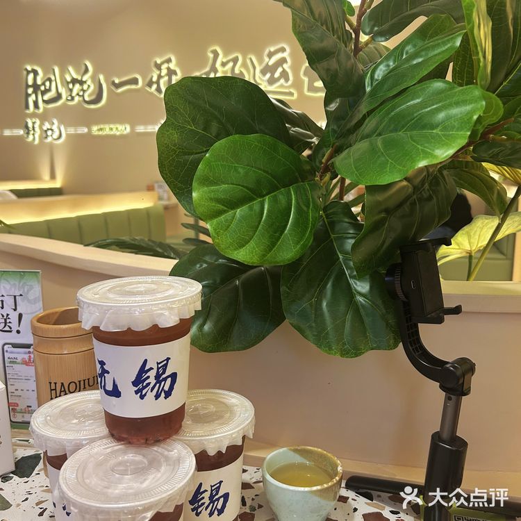 天哪,谁敢信,我在无锡实现了生蚝自由!