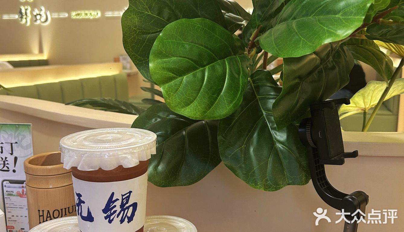 天哪，谁敢信，我在无锡实现了生蚝自由！