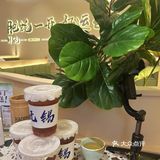 天哪，谁敢信，我在无锡实现了生蚝自由！