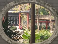 -顺峰山公园