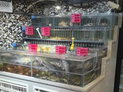 -大胡子海鲜·天津菜·砂锅烧烤(五大道创始店)