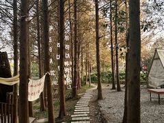 -长兴太湖图影湿地文化园