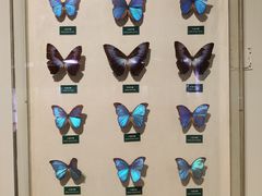 -陕西自然博物馆