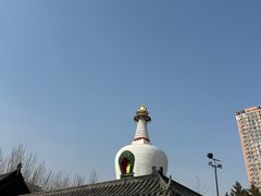 -西塔