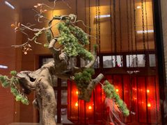 -南堂館川菜文化餐厅(天府店)