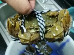 -喜洋洋蟹庄(阳澄湖店)