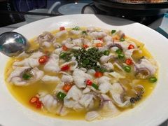 青花椒一代（小分）-青花椒花椒鱼(合生汇店)