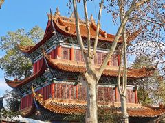-成都动物园