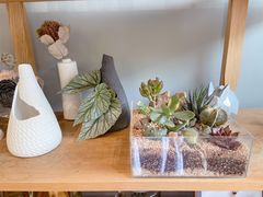 -dotcom coffee古点咖啡(致真大厦店)