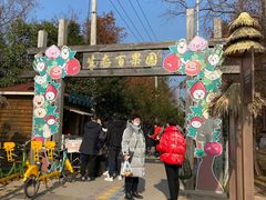 -上海长兴岛郊野公园