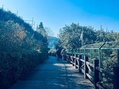 -树山生态村