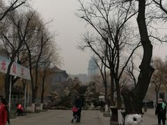 -文瀛公园
