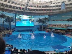 -海合安成都极地海洋公园