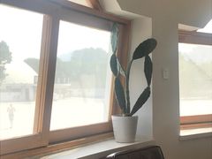 -ChanDu躔度咖啡(灯塔店)