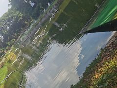 -广州长隆飞鸟乐园