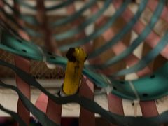 -卡拉卡拉漫温泉汗蒸