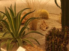 -OUR Bakery(SKP-S店)