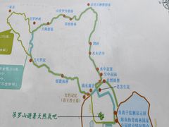 -海南热带雨林国家公园吊罗山景区