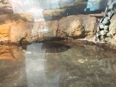 -成都动物园