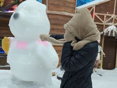 -世界之窗阿尔卑斯冰雪世界
