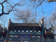 -北京国子监胡同