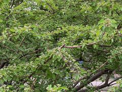 -元大都城垣遗址公园