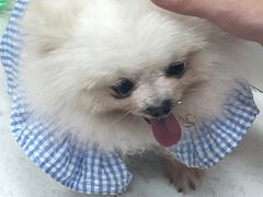 -汪说·狗咖(旺城大厦店)