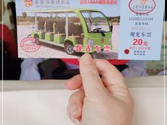 -金塔沙漠胡杨林景区