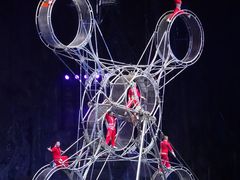 -广州长隆国际大马戏