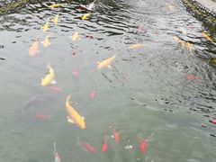 -成飞公园
