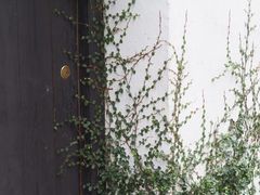 -树山生态村