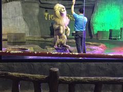 -清迈夜间动物园