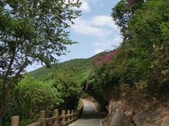 -东澳岛