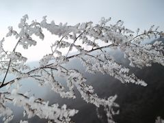 -妙峰山风景名胜区