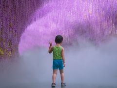 -沈阳方特欢乐世界