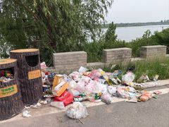 -白洋淀景区